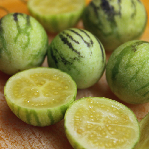 معرفی و راهنمای پرورش درختان میوه - تزیمبالو